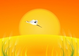 金色夕阳下飞翔的丹顶鹤flash动画