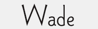 Wade Sans Light字体