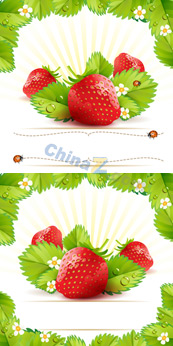 新鲜草莓矢量素材下载