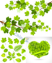 绿色树叶矢量设计素材