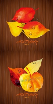 秋季树叶装饰背景图