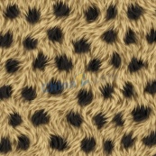 非洲猎豹皮毛花纹背景矢量
