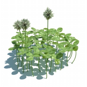 户外植物3D模型设计