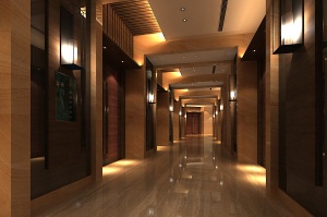 酒店电梯走廊过道模型