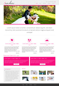 欧美浪漫婚礼网站模板
