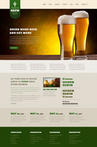 啤酒代理商网站模板