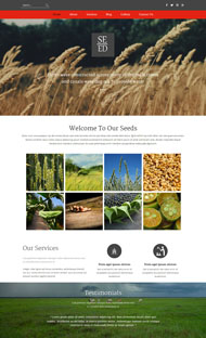 大麦种植企业网站模板