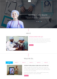 医疗人才网网站模板