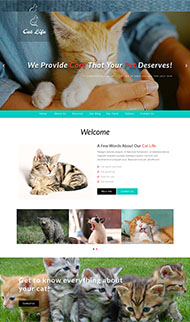 流浪动物领养中心网站模板