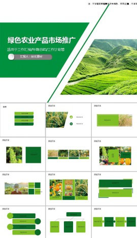 绿色农业产品宣传市场推广ppt模板