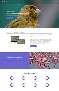 专业鸟类百科网站模板