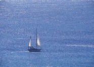 海上小帆船图片