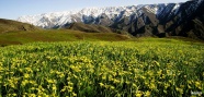 新疆额敏县风景图片