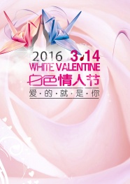 2016白色情人节图片
