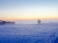 冬季朦胧风景图片