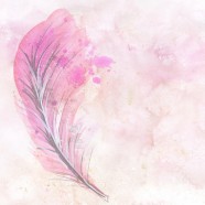 粉色水彩羽毛图片