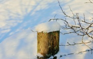 冬日雪地木桩图片