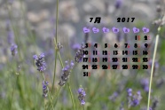2017年7月日历桌面图片
