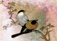 树枝上的鸟儿绘画图片