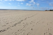 海滩沙子脚印图片