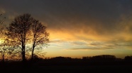 黄昏天空树木剪影图片