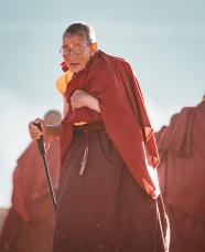 西藏老僧人图片