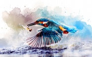 翠鸟水彩画图片