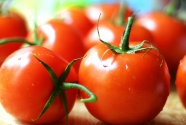 新鲜红番茄摄影图片