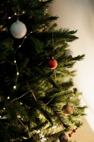 圣诞树上挂着圣诞球图片  