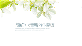 简约小清新护肤品牌宣传产品介绍PPT模板