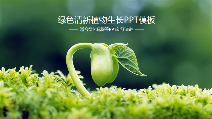 绿色清新植物生长春天主题环保通用PPT模板