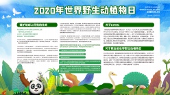 2020年世界野生动植物日宣传栏设计