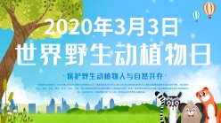 世界野生动植物日主题海报设计