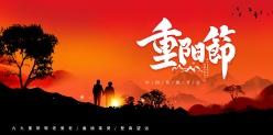重阳节中国传统节日海报