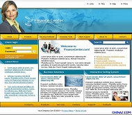 财政个性网站模板