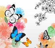 韩国卡通蝴蝶PSD模板