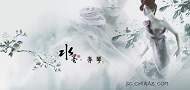 韩国美女婚纱模板下载