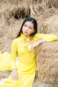 越南黄色奥黛旗袍美女写真图片