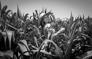 玉米地美女黑白写真图片