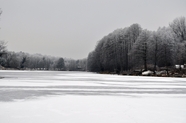 冬天树林湖泊结冰风景图片