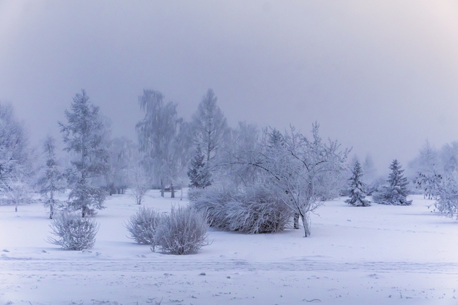 西伯利亚唯美雪景图片