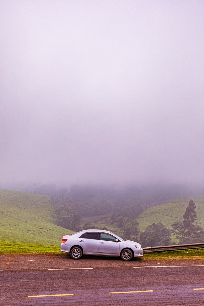 山野雾气朦胧白色汽车图片