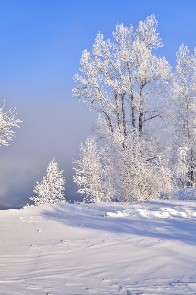 冬季白雪冰雪世界风景图片