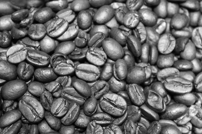 咖啡豆黑白摄影图片
