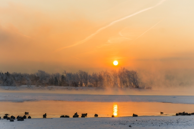 弗罗斯特冬季黄昏风景图片