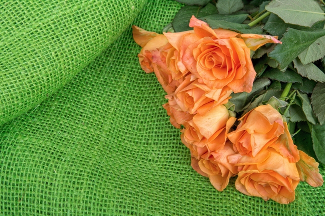 唯美浪漫橙黄色玫瑰花图片