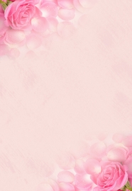 粉色玫瑰花淡雅背景图片