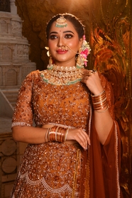 印度传统华丽服饰美女图片