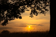 午后黄昏荒野草原夕阳美景图片
