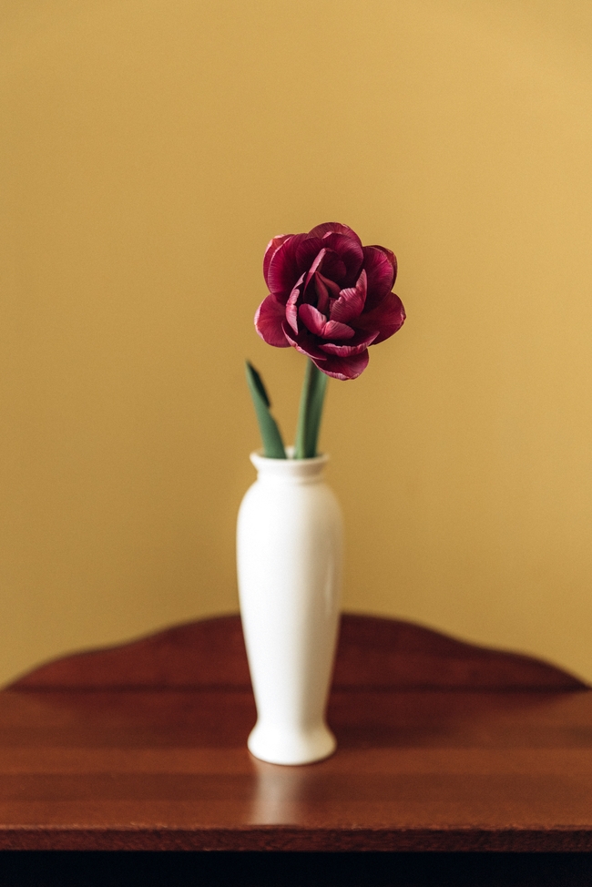 木桌白色瓷瓶郁金香插花图片
